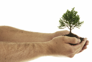 Nurturing