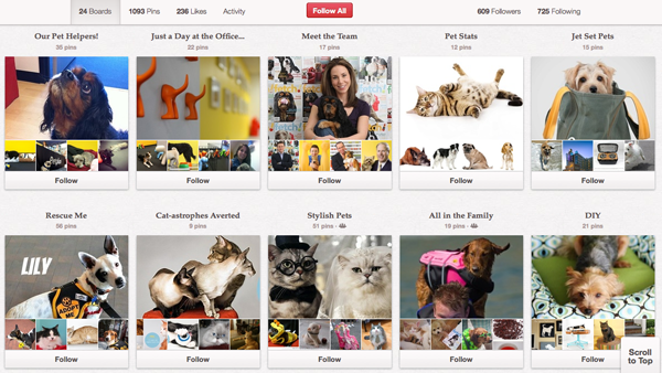 PetPlan's Pinterest