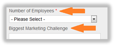 required form fields