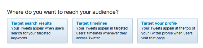twitter promoted tweet