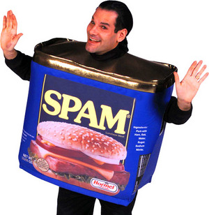 spam costume