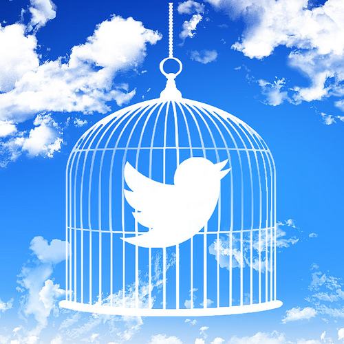 twitter automation