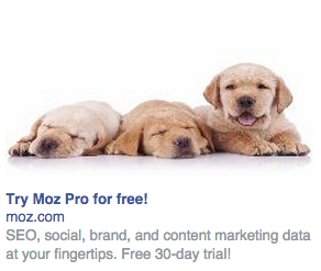 facebook-ad-puppies