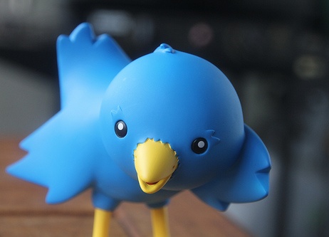 twitter blue bird