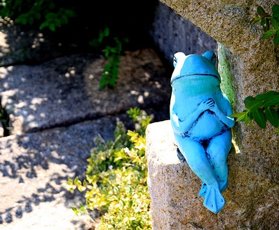 blue-frog