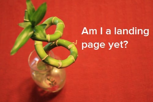 what-is-landing-page