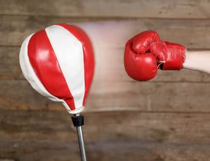 punching-bag