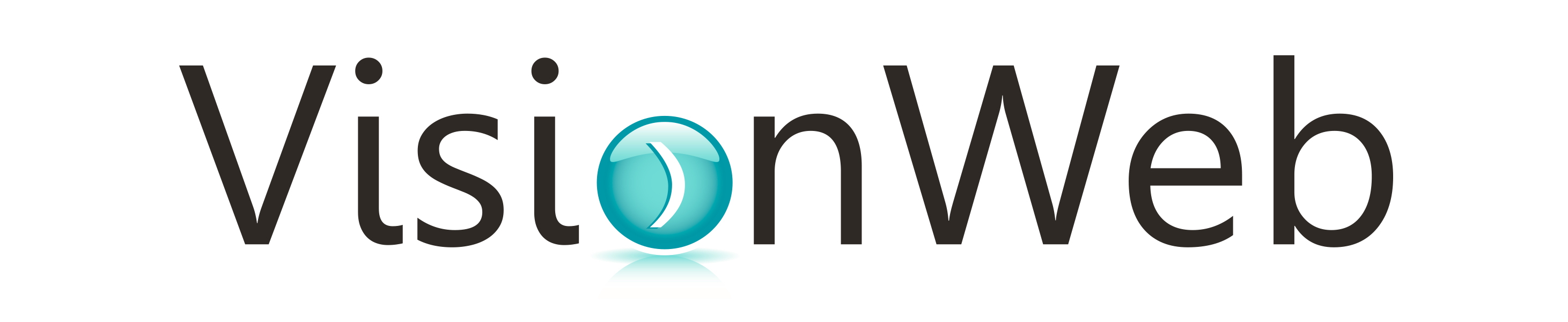 VisionWeb Team
