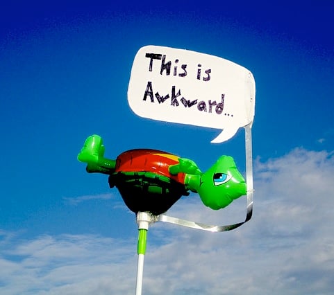 awkward_turtle