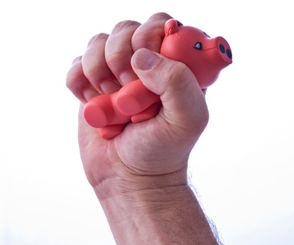 stress-pig