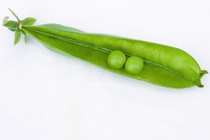 two-peas-pod