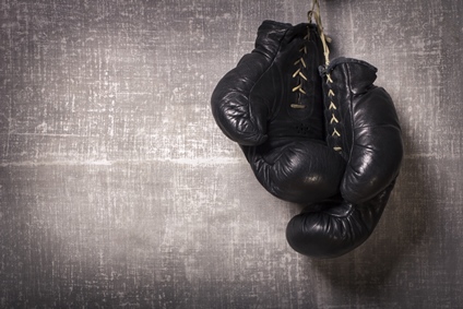 boxinggloves