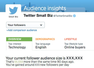 audience_insights-1.png