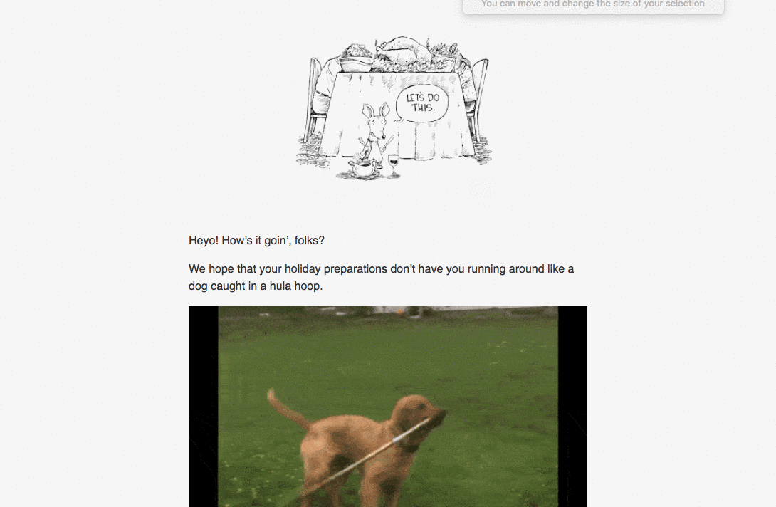 BarkPost Yappy Thanksgiving BarkPost Yappy Thanksgiving