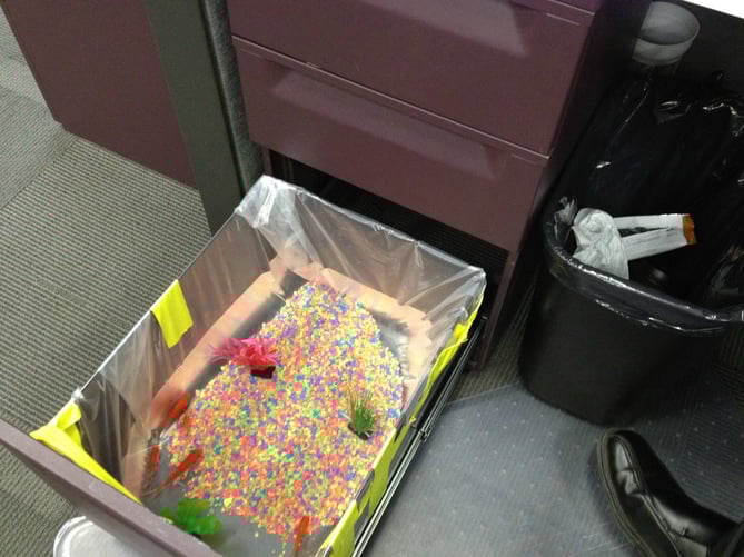 drawer-fish-tank-prank.jpg drawer-fish-tank-prank.jpg