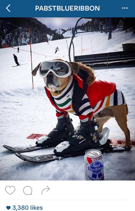 pabst-instagram-funny-post.jpg