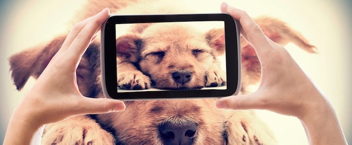 photos-to-post-on-instagram.jpeg