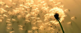 scale-content.jpeg scale-content.jpeg