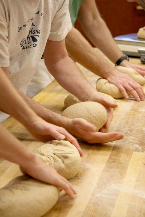 Kneading Great Bread Kneading Great Bread