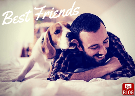 Best_Friends_-_Dogs_and_People.png