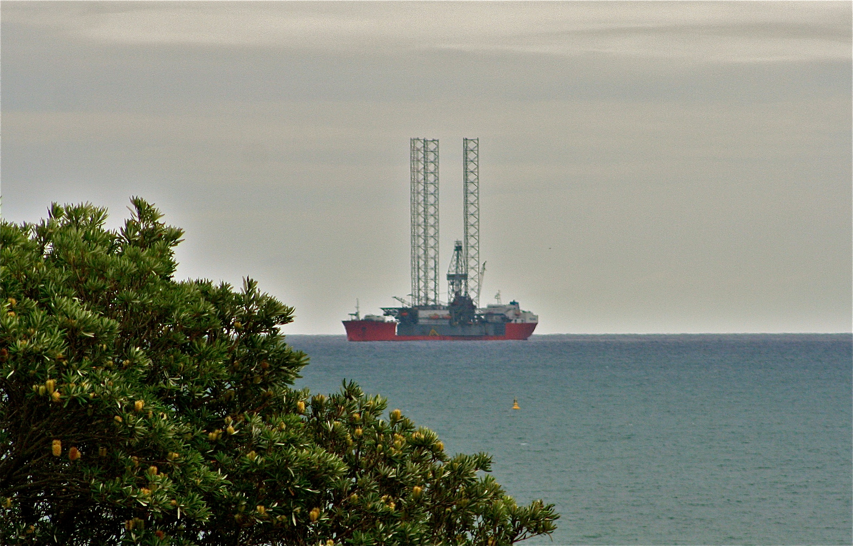 Image 15