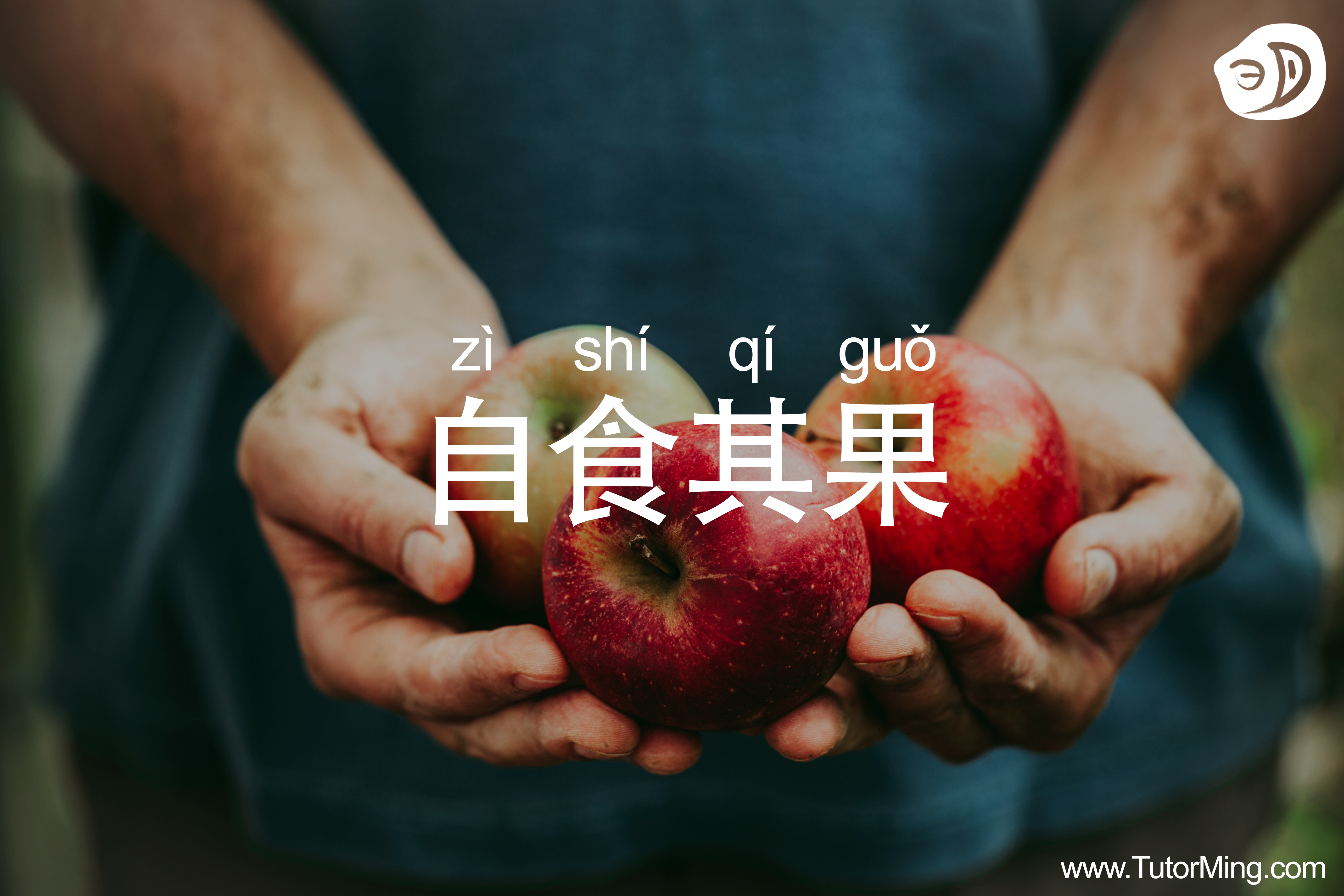 chengyu: 自食其果 meaning