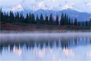 Alaskan Coast