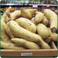 Ramps White Flesh Sweet Potatoes