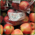 Apple Cortland