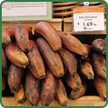 Red Bananas