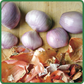 Shallots 5