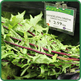 Ramps Dandelion Greens