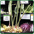 Ramps Fresh Ginger