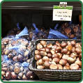 Ramps Chestnuts from Iowa