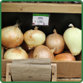 Onions Onions
