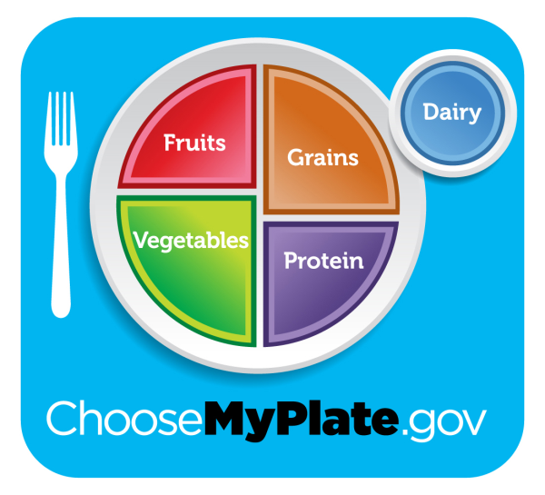 myplate blue resized 600