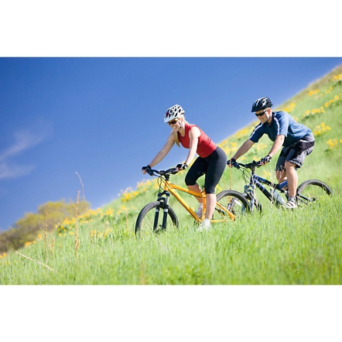Health and Wellness