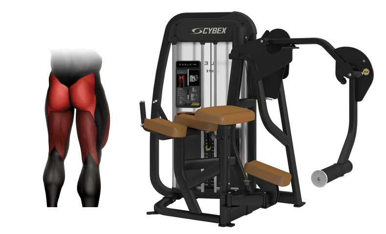 Workout Your Glutes on the Cybex Eagle NX