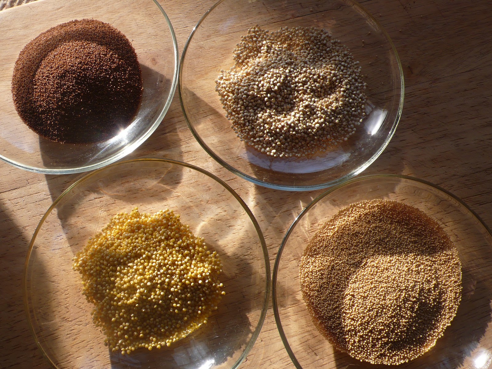 ancient grains