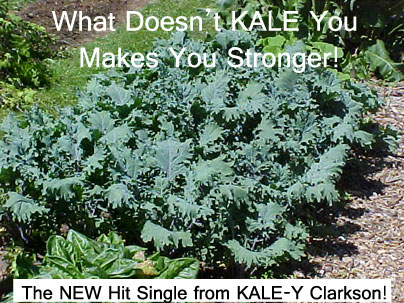 kale humor
