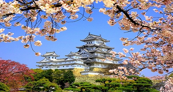 Teaching English in Japan: Discover Osaka - The City of Kuidaore