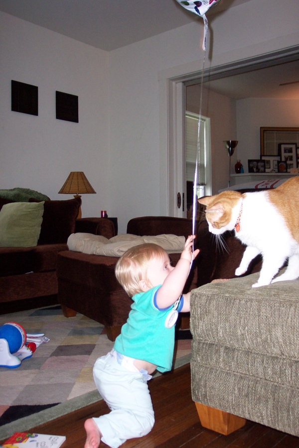 DCP 1096 resized 600