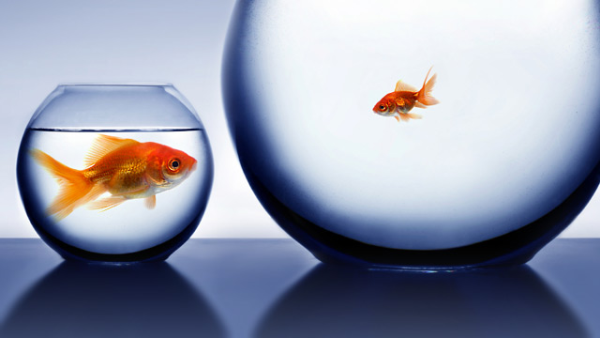 small public relations