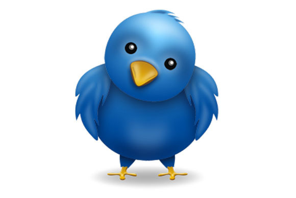 Twitter bird