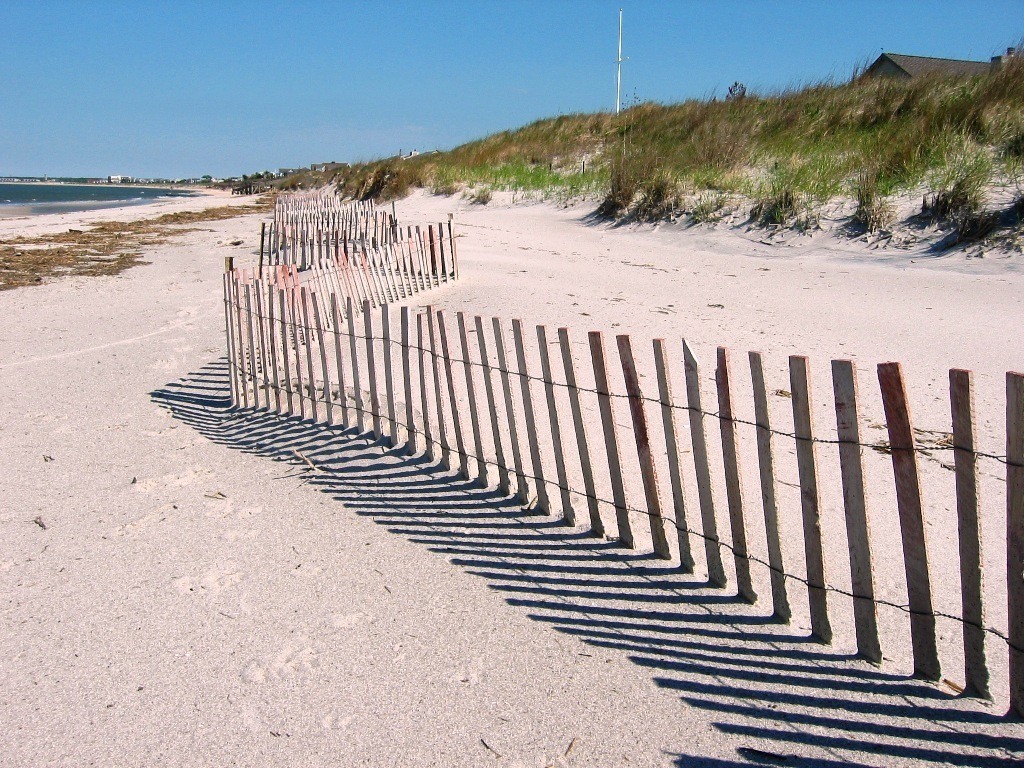 dune fence