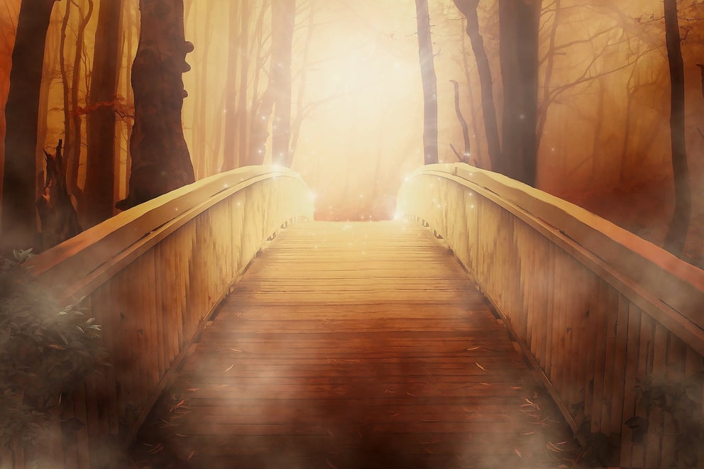 The 5 Critical Moments in a Negotiator’s Journey to Excellence