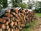 Round Wood Biomass