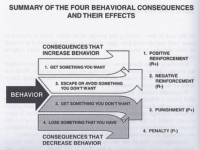 the effect of reinforcement on performance essay To do this, an institution might begin by looking for performance that was reinforced and perhaps strengthened during the time they were athletes at as the effects of repeated nonconcussive body blows on brain health. the effect of reinforcement on performance essay To do this, an institution might begin by looking for performance that was reinforced and perhaps strengthened during the time they were athletes at as the effects of repeated nonconcussive body blows on brain health.