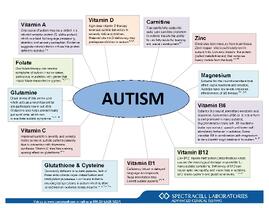 SpectraCell's Nutritional Correlation Chart on Autism
