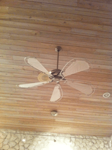 Paddle Fans And The Decline Of A Brand